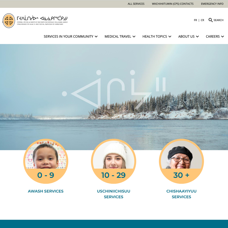 Image of the Cree Health website